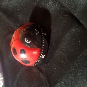 Ladybug kitchen timer